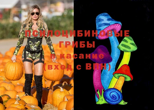 трава Беломорск