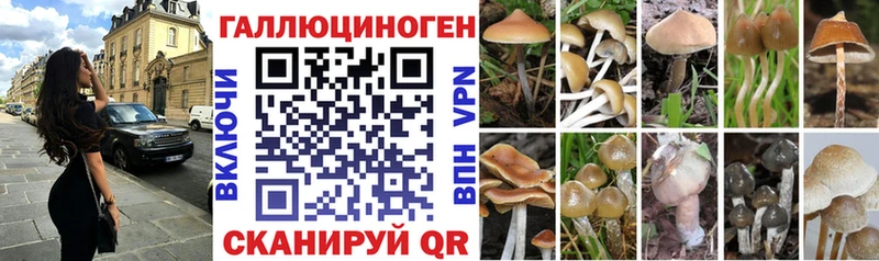 Псилоцибиновые грибы MAGIC MUSHROOMS  Когалым 