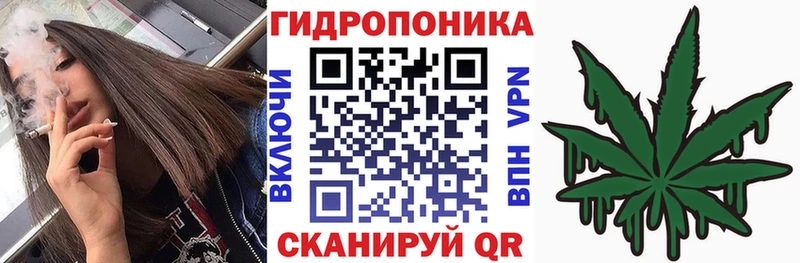 Марихуана AK-47  кракен как войти  Когалым  где купить наркотик 